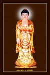 Phật ADIDA 014 (ép laminater đổ bóng)