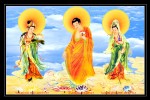 Phật tam thánh 911 ( ép foam cán bóng )